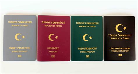p tipi pasaport türü